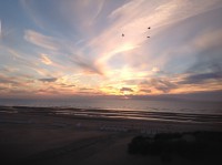 /album/studiotehuur/image-1-jpeg/